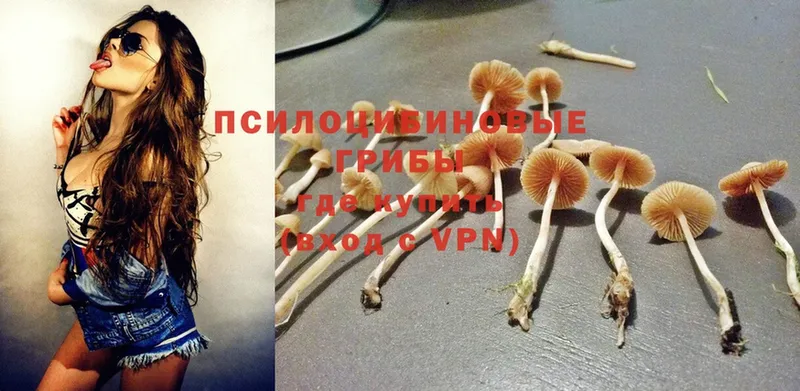 Псилоцибиновые грибы GOLDEN TEACHER  Баксан 